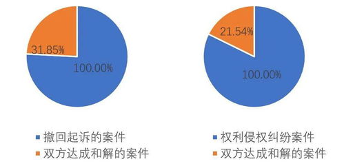 重大專利糾紛(重大專利侵權(quán)糾紛)